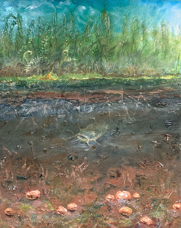 Pond Strata - by Mike Bily