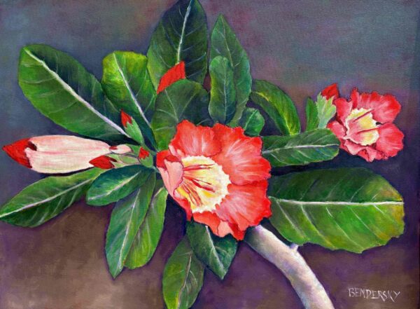 Sweet Oleander - Oil Painting on Canvas by Carmen Bendersky