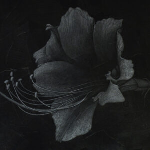 The Dark Side of the Bloom - Mixed Media Artwork by Keenan Cross
