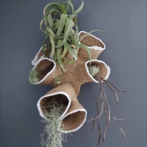 Bark - Mixed Media Artwork by Richard Harding