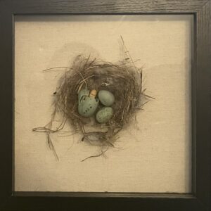 Changeling - by Marissa Boyce