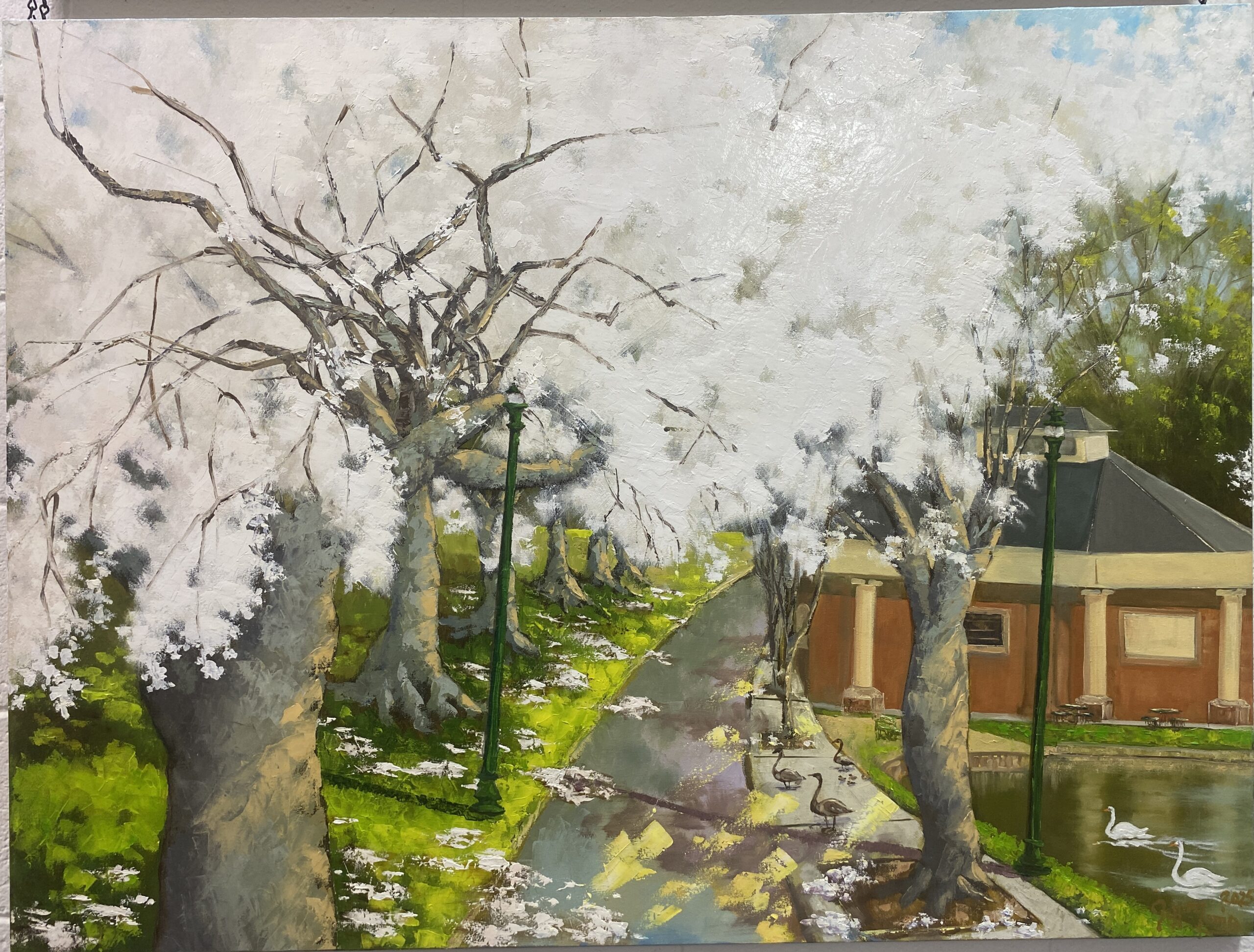 Full Bloom at the Boat Lake RVA - by Jeff Morris