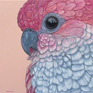 Pink Parakeet - by Carrie Lensch