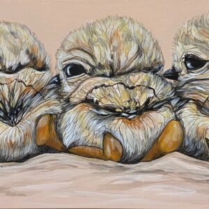 Sanderling Triplets - by Carrie Lensch