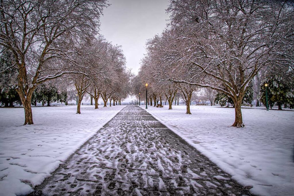 Chimborazo Park - by Lloyd Chaser