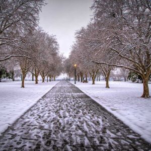 Chimbarazzo Park - by Lloyd Chaser