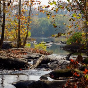 James River View - by Patricia Davis