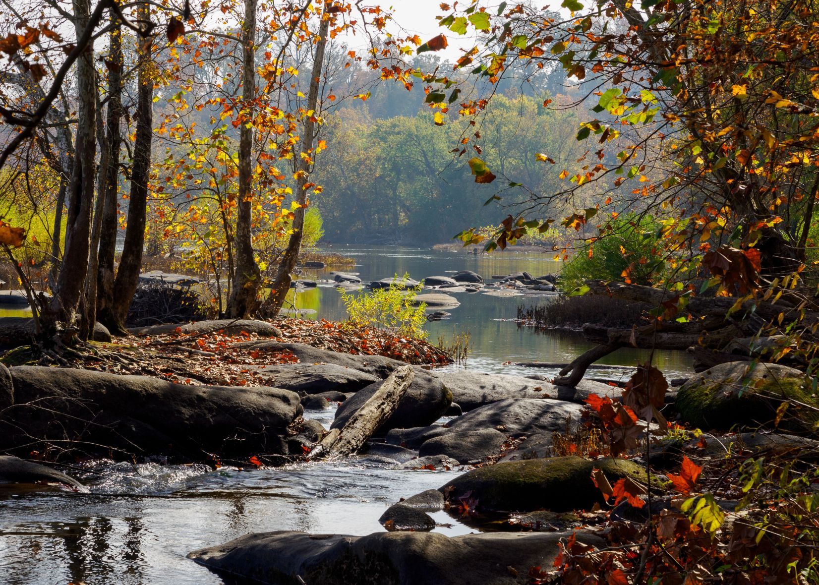 James River View - by Patricia Davis