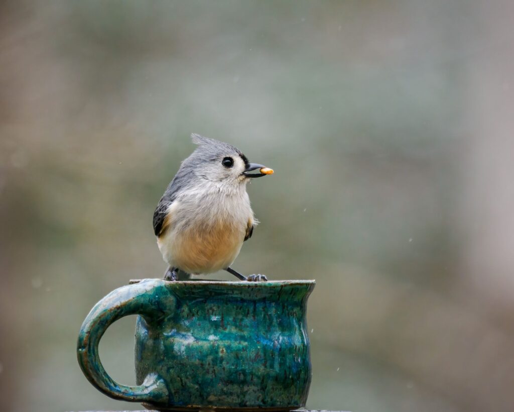 Morning Cup on a Rainy Day - by Patricia Davis