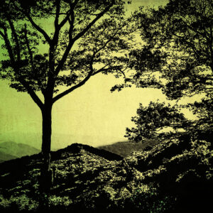 Blue Ridge Scene 3 - by Blake Seals