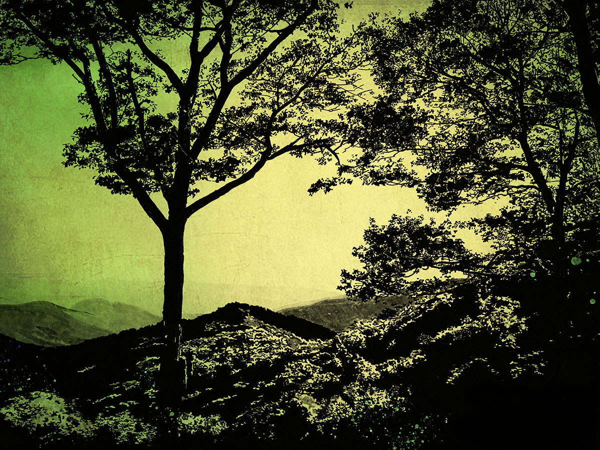 Blue Ridge Scene 3 - by Blake Seals