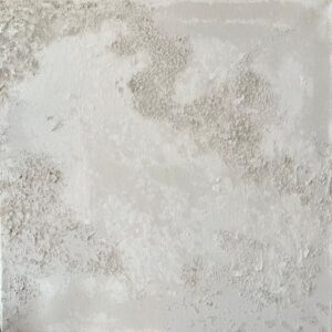 January 25 - by Marissa Boyce