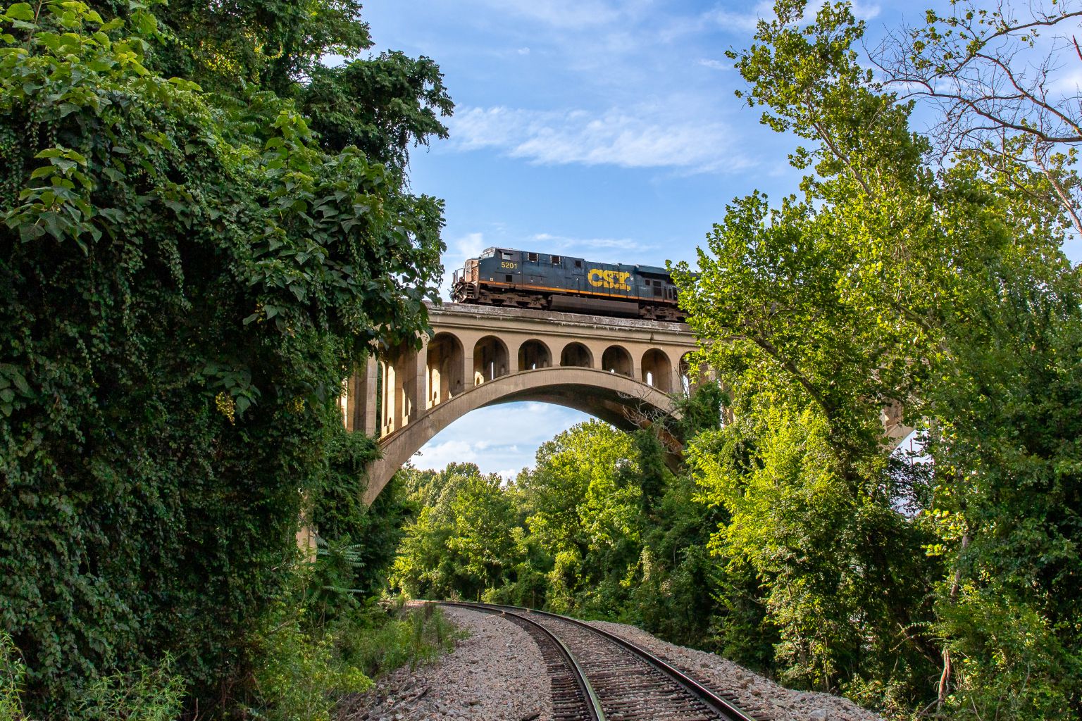 The A-Line - by Jesse Harrison