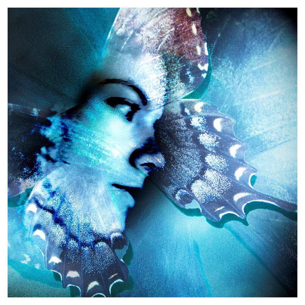 Butterfly Dreams - by Erlene Hendrix
