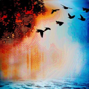 Earth, Wind, Water, Fire - by Erlene Hendrix