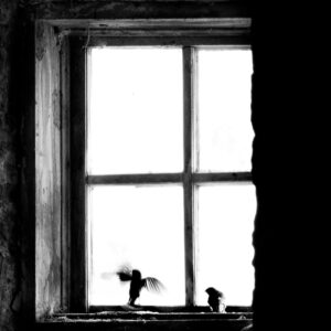 Two Birds - by Erlene Hendrix