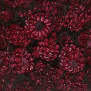 Raspberries - by Abby Stevens