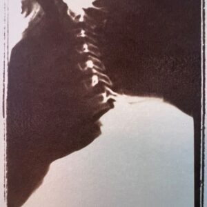 Skull and Spine Vandyke Brown - by Cat Conley